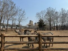 -大连森林动物园