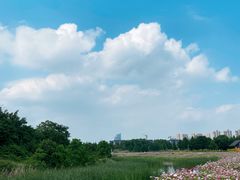 -洋湖国家湿地公园