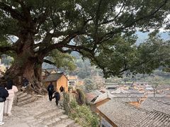 -杨家堂村