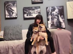 -百好乐宠物友好餐厅(朝外大街店)