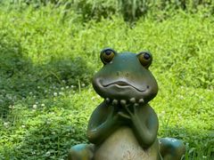 -同里国家湿地公园