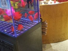 -釜山火炉韩式炭火烤肉(欧洲城店)