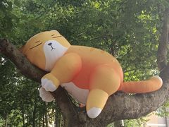 -西安电影制片厂