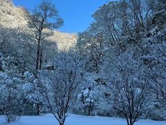 -秦岭终南山世界地质公园翠华山景区
