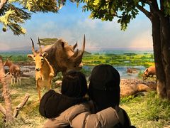 -国家自然博物馆