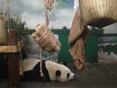 -无锡动物园·太湖欢乐园