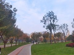 -唐城墙遗址公园