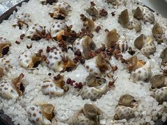 盐焗花螺-华盛丰温州大排档(东三环南路店)