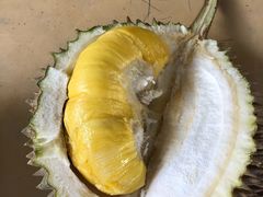 -大树下海鲜饭店