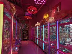 -BIG PINK大粉娃娃机主题馆(圆融星座店)