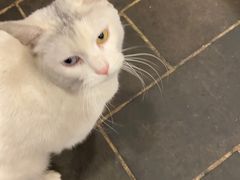 -张记牛肉面馆(天津路店)