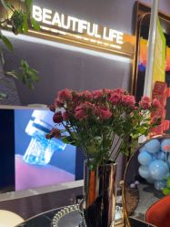 -花隐·美芙炫海菲秀皮肤管理中心