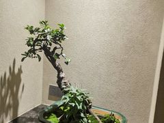 -长禧家·珑厨(东山口店)