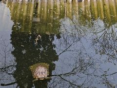 -西安大兴善寺