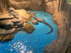 -多彩贵州城极地海洋世界