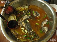 xn 059-风鑫铃罗非鱼(道沟店)