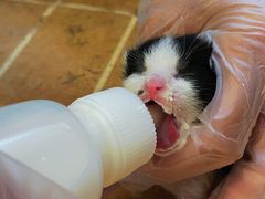 -厦门良筑精品酒店(厦门中山路店)