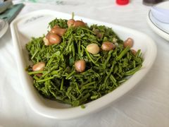 木兰芽-京北渔家傲