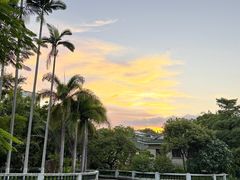 -溪岸路花鸟市场