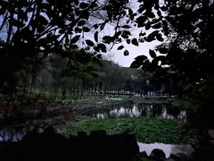 -高尔山公园