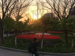 -大宁灵石公园西门票处