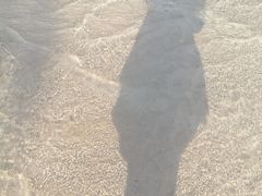 -月光岛