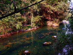 -石台牯牛降景区
