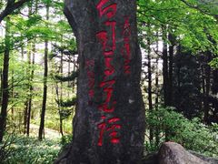 -庐山风景区花径公园