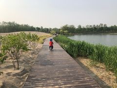 -东郊湿地公园