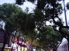 -余姚博物馆