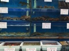 水产区-老码头海鲜烧烤炒菜(广西路店)