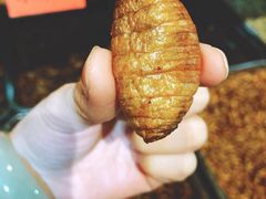 -昆虫窝子·特色云南菜(拓东路总店)