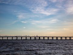 -宝安西湾红树林湿地公园