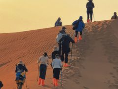 -恩格贝生态旅游区