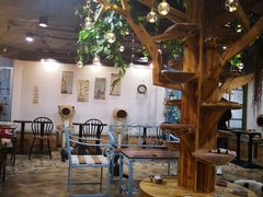 大堂-共舞时光猫咖·狗咖(新街口店)