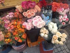 -循礼门鲜花花市(武汉循礼门店)