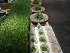 -潍坊宴·大管家(文化路店)