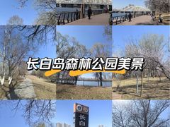 -长白岛森林公园