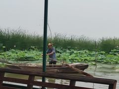 -微山湖红荷湿地景区