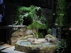 -夜间野生动物园