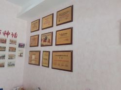 -香薇妮丝·定制减肥·身材管理