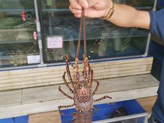 -量贩海鲜餐厅