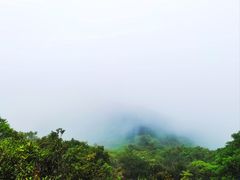 -梧桐山风景名胜区