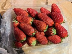 -鲍师傅糕点(五角场店)