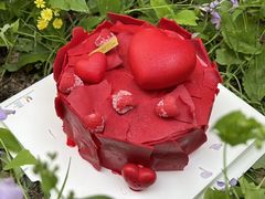 -维尔纳斯·生日蛋糕·动物奶油冰淇淋蛋糕(六里桥店)