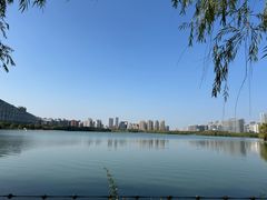-天鹅湖体育公园