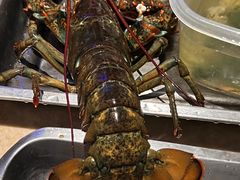 -雍和会海鲜姿造自助(湖东路店)