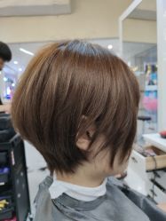 -形象公社