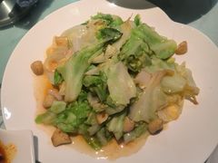 -金熊猫川菜餐厅