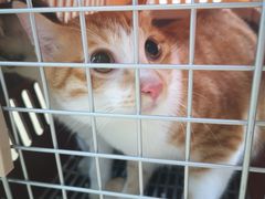 -荔康动物医院(康王北路店)